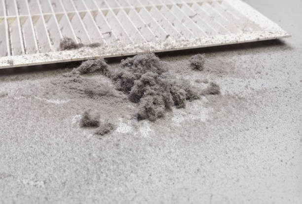 Best Air Vent Cleaning Services  in Springhill, LA