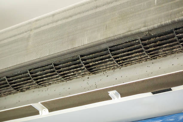 Best Best Air Duct Cleaning Company  in Springhill, LA